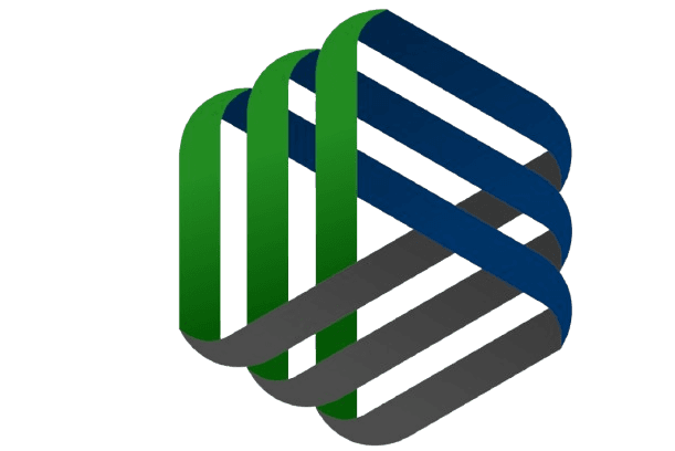 Logo ERP WS